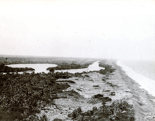 north view from lighthouse