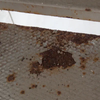 Stair Rust