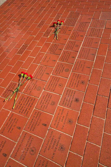 Flowers left on the patio
